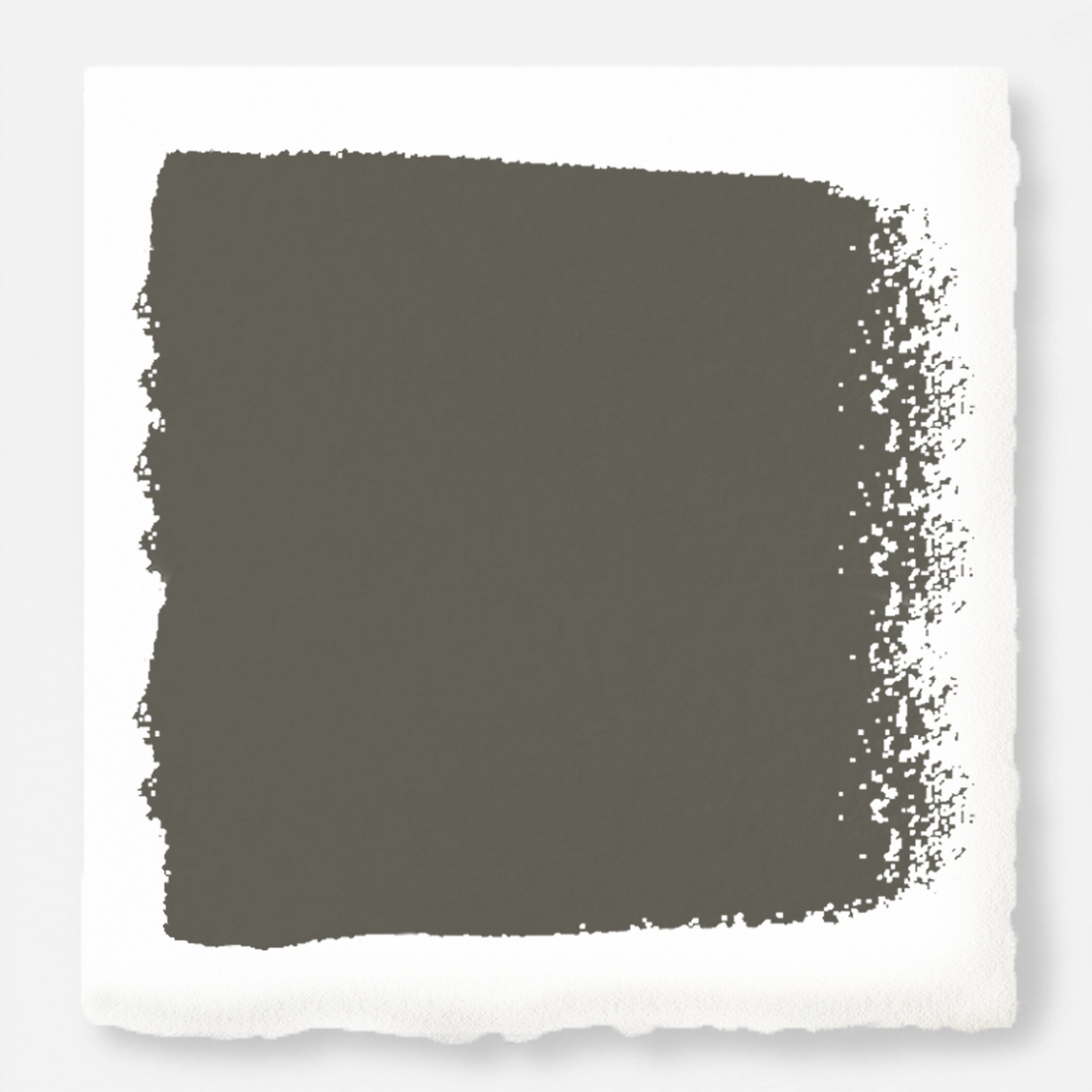 Magnolia-Mountain-House-Color-Swatches_2040x2040_Trailhead